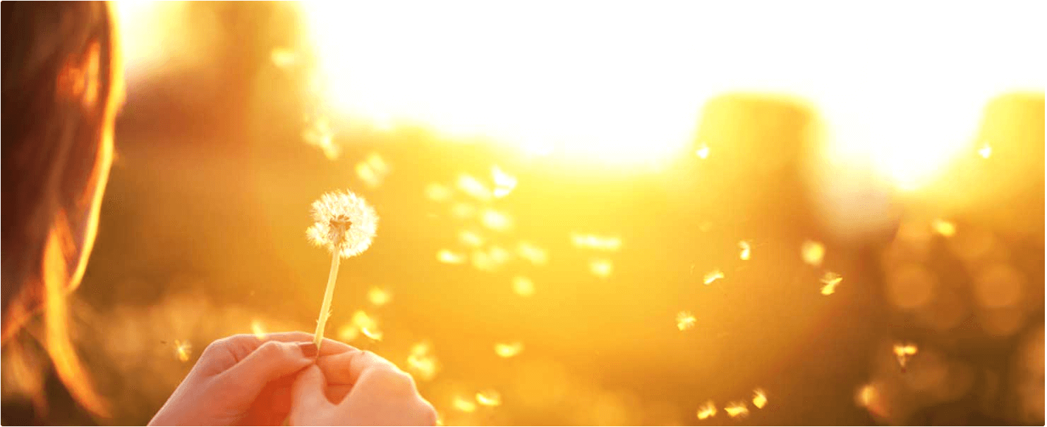 Čtyři vlastnosti, které vám pomohou projít i těmi nejtěžšími časy