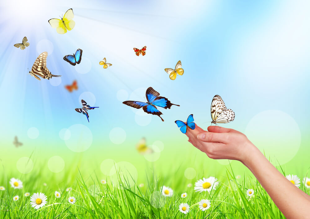 VZRŮSTÁ TO, NA CO ZAMĚŘÍTE SVÉ MYŠLENKY