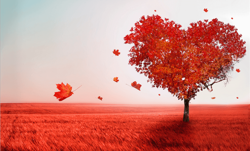 Neboj se svých proměn