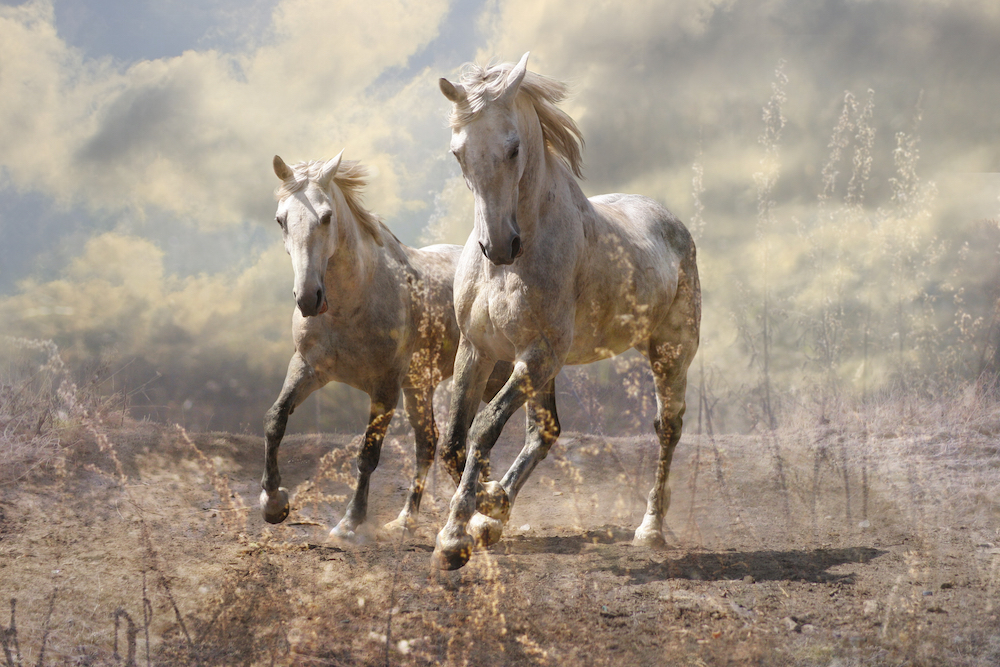 NUMEROLOGIE NA ŘÍJEN