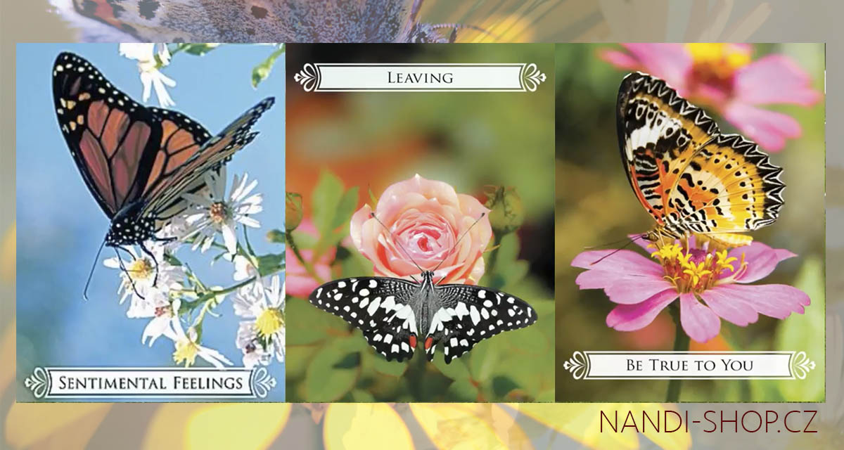 Karetní výklad Doreen Virtue pro týden od 3. do 9.4. 2017