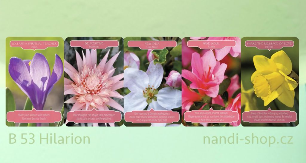 karetní výklad Doreen Virtie