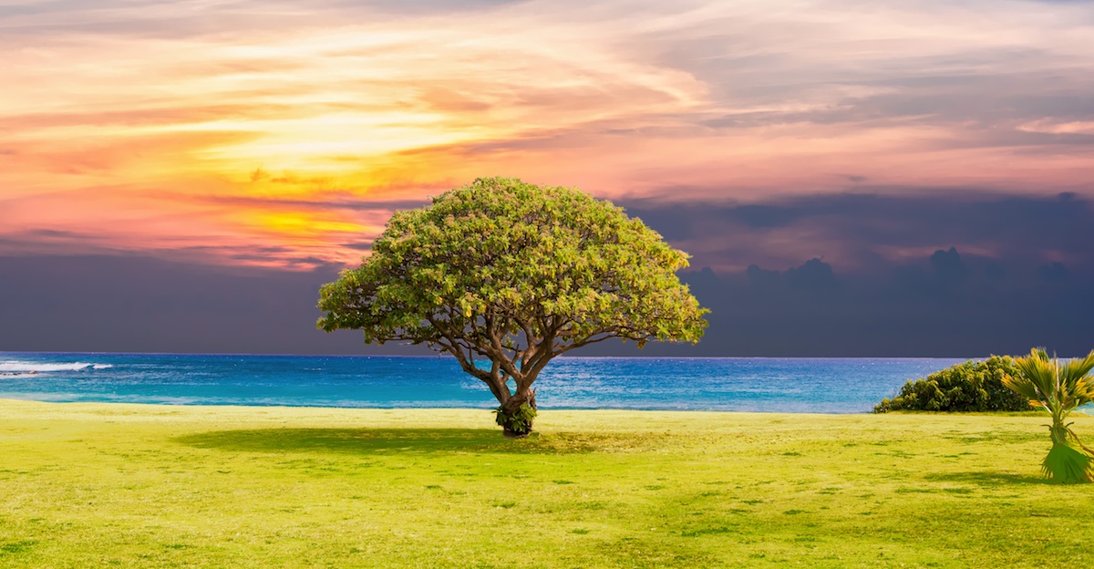 Změňte svůj život, změňte svět