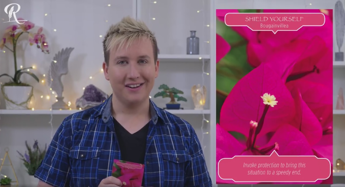 Květinový výklad Roberta Reevese pro týden od 4. do 10.9. 2017