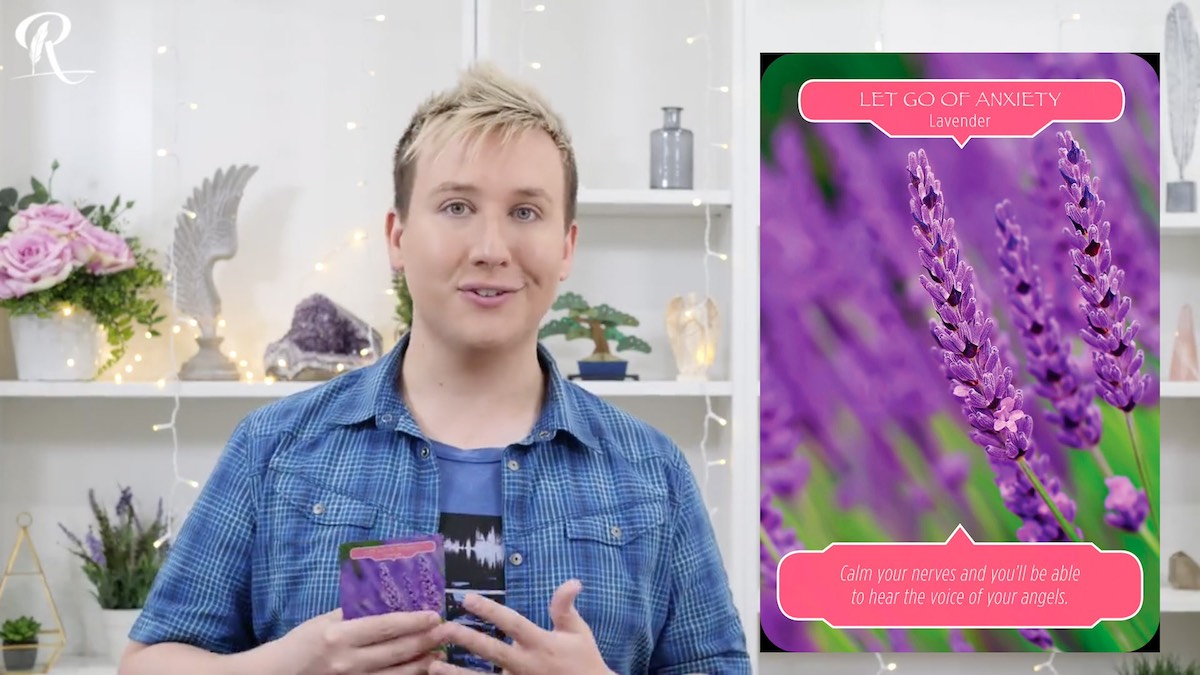 Květinový výklad Roberta Reevese pro týden od 11. do 17.9. 2017