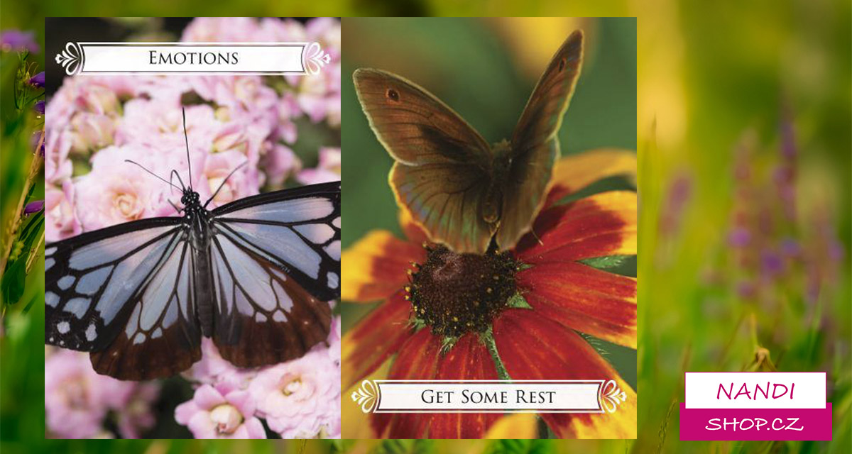 Karetní výklad Magdy Techetové na týden 18. – 24. 9. 2017