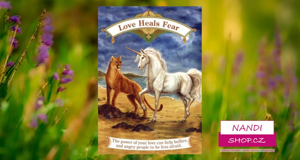 karetní výklad Magdy Techetové