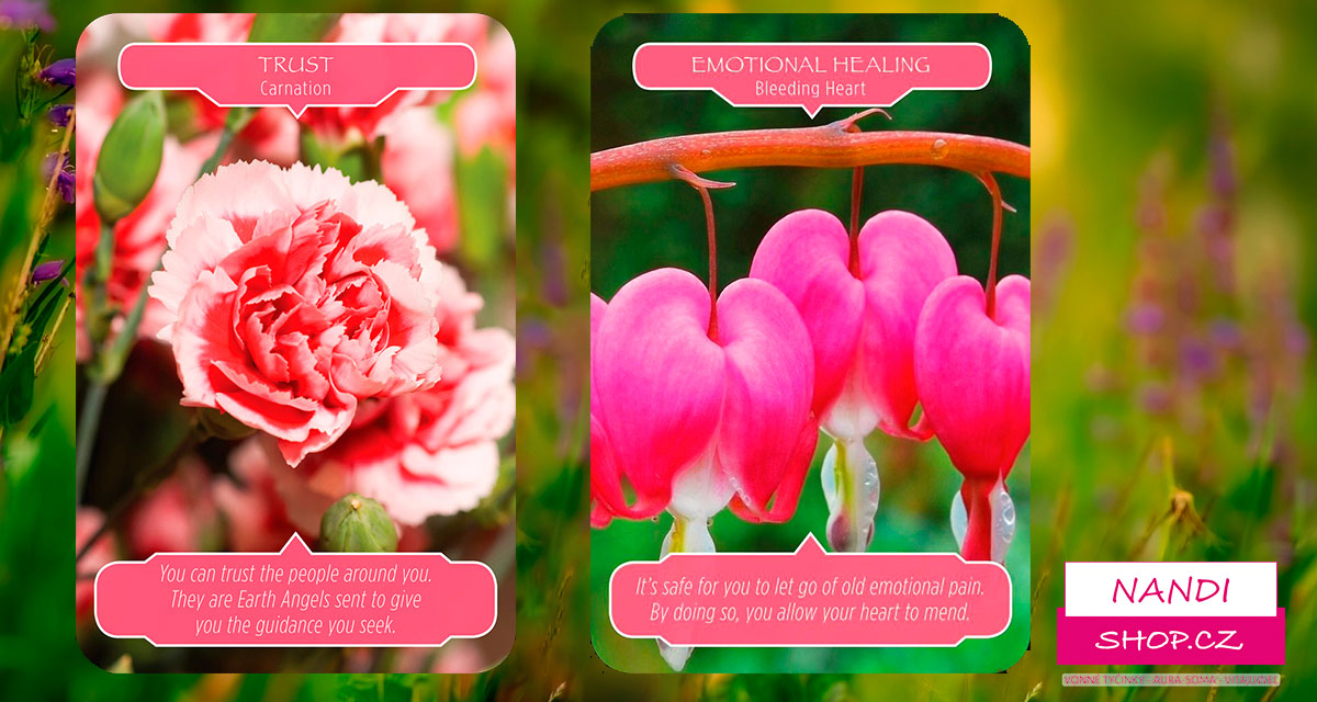 Květinový výklad Roberta Reevese pro týden od 15. do 21.1. 2018