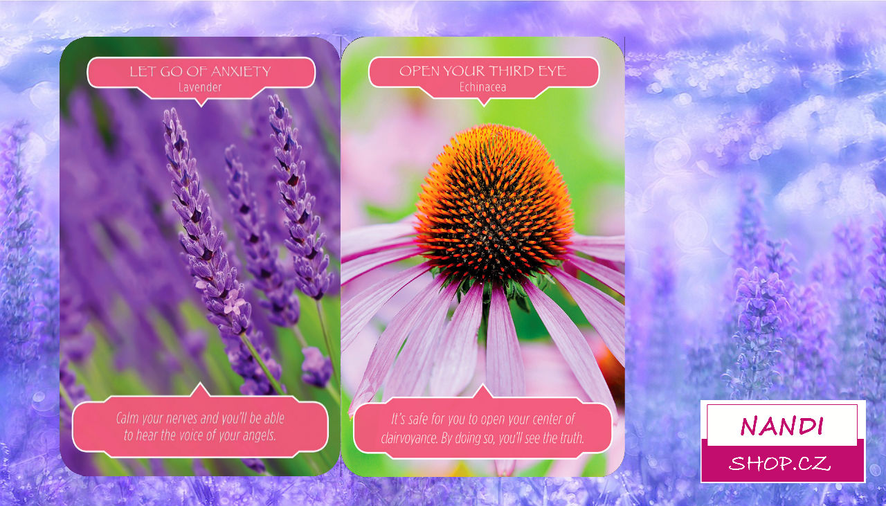 Květinový výklad Roberta Reevese pro týden od 22. do 28.1. 2018