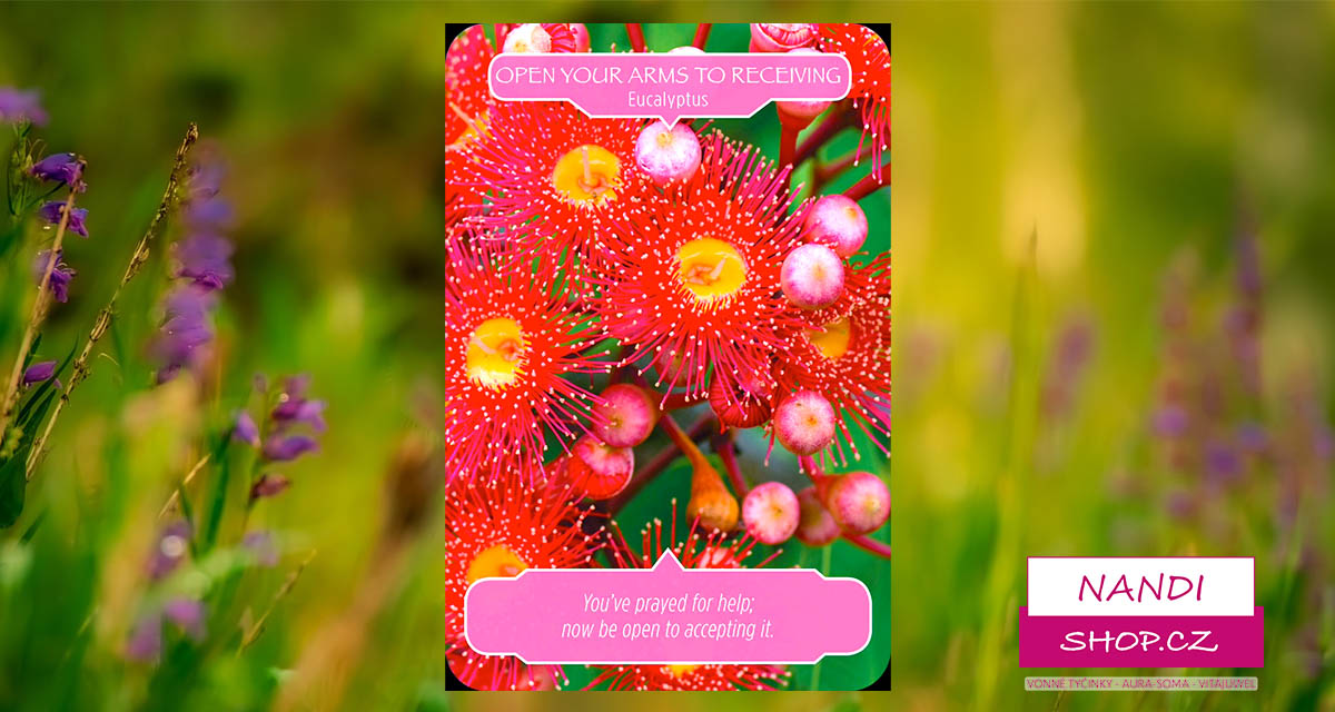Karta Květové terapie OTEVŘETE SVOU NÁRUČ PŘIJÍMÁNÍ
