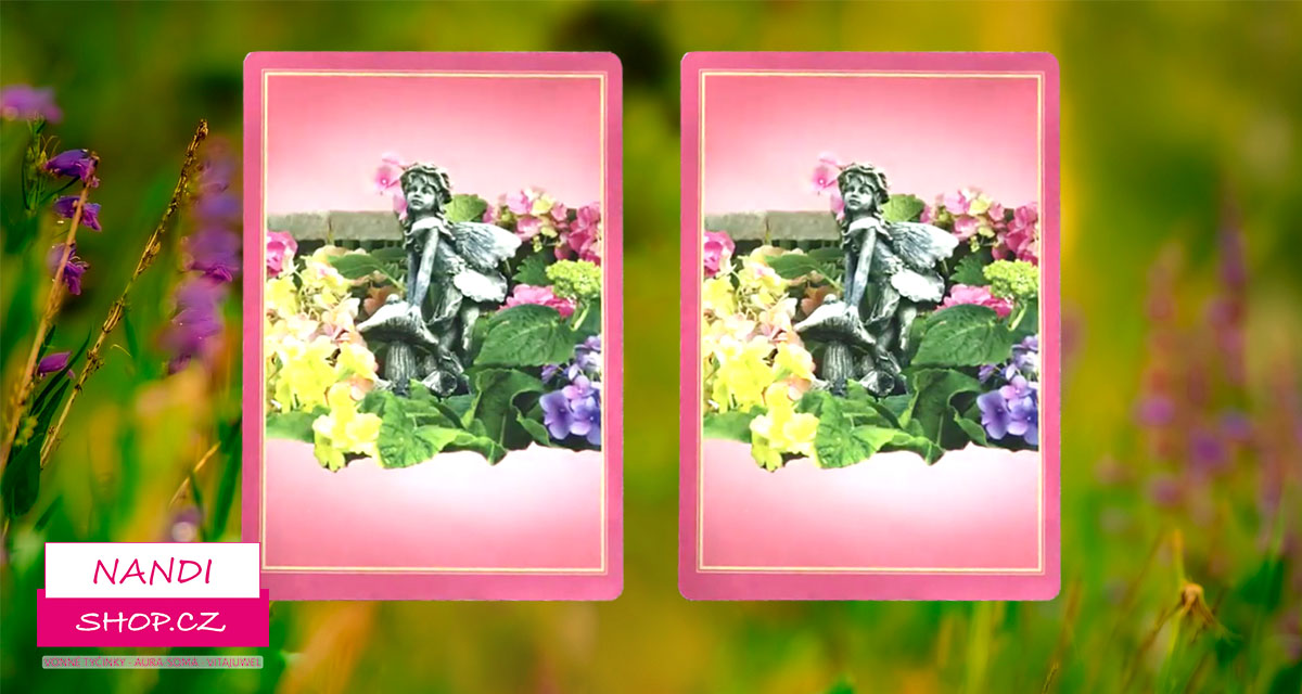 Květinový výklad Roberta Reevese pro týden od 29.1. do 4.2. 2018