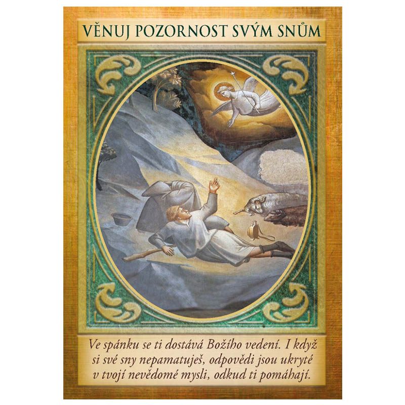 Nandi-shop.cz