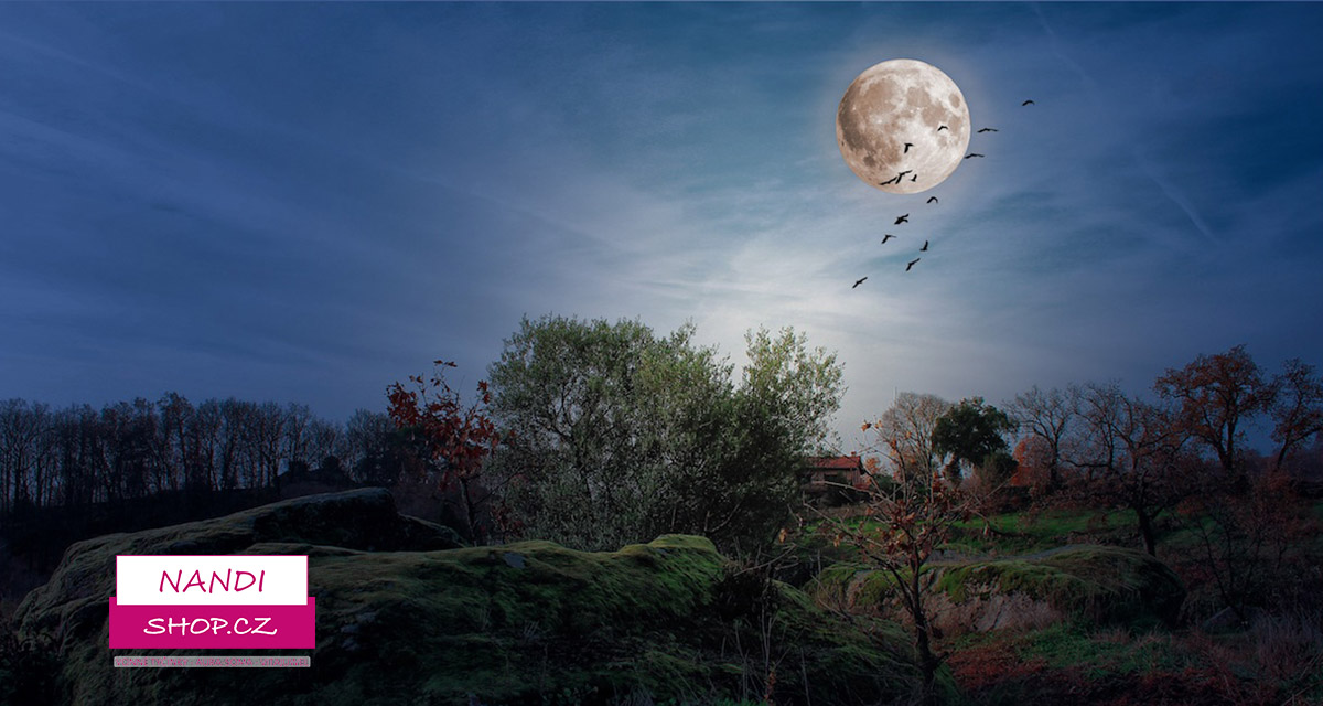 Poselství Andělů ke změnám