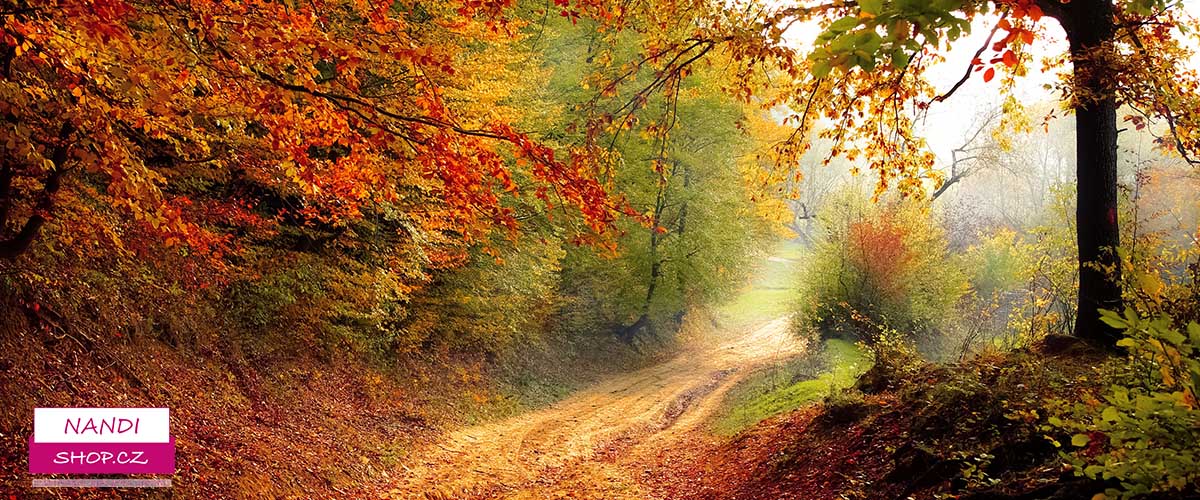 Poselství Andělů k odpouštění od Doreen Virtue