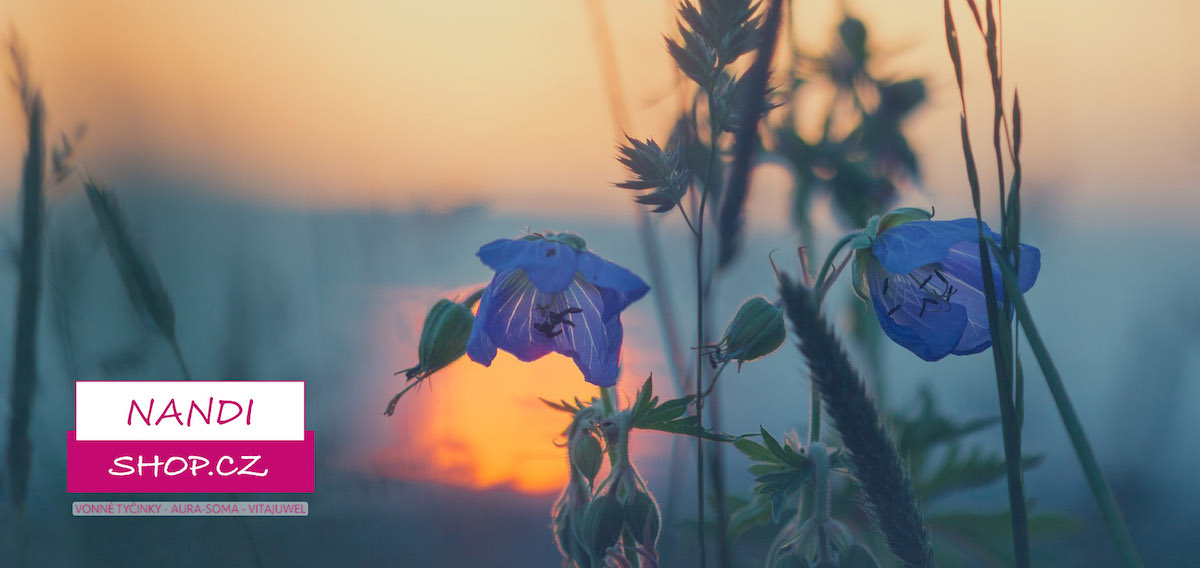 Poselství Andělů o samotě od Doreen Virtue