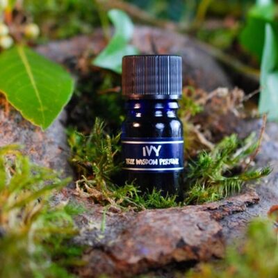 PARFÉM TREE WISDOM BŘEČŤAN