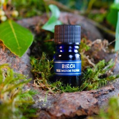 PARFÉM TREE WISDOM BŘÍZA