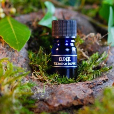 PARFÉM TREE WISDOM ČERNÝ BEZ