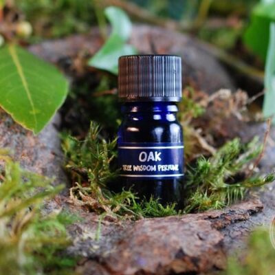 PARFÉM TREE WISDOM DUB