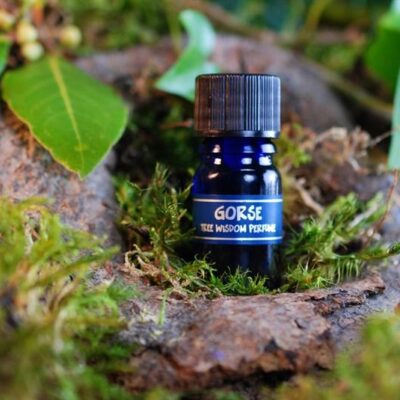 PARFÉM TREE WISDOM HLODÁŠ