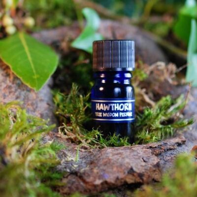 PARFÉM TREE WISDOM HLOH