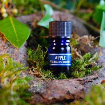 PARFÉM TREE WISDOM JABLOŇ