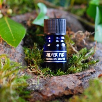 PARFÉM TREE WISDOM JEDLE BĚLOKORÁ