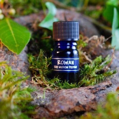 PARFÉM TREE WISDOM JEŘABINA