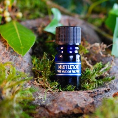 PARFÉM TREE WISDOM JMELÍ