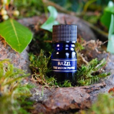 PARFÉM TREE WISDOM LÍSKA