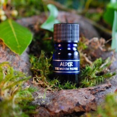 PARFÉM TREE WISDOM OLŠE