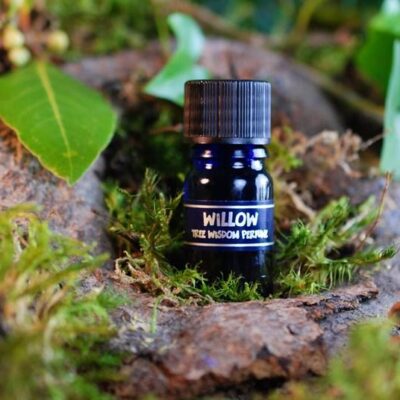 PARFÉM TREE WISDOM VRBA