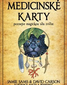 Medicinské karty, kniha a 55 karet