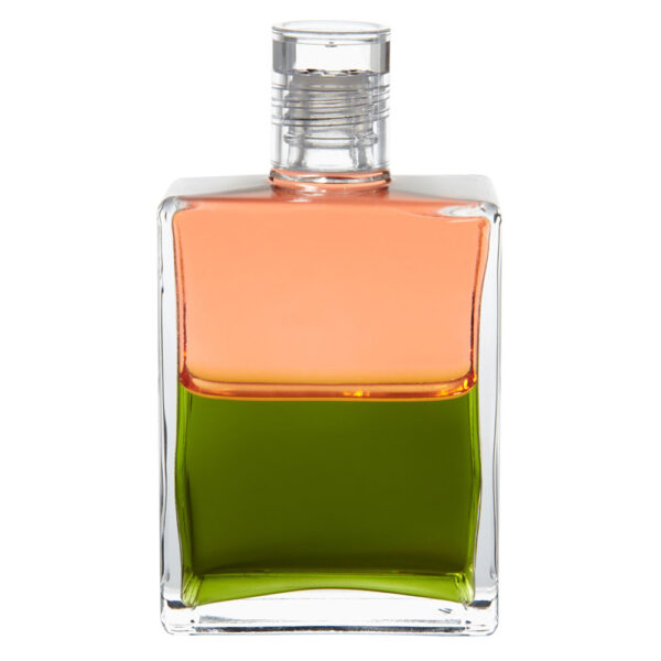 55 - ANDĚL MEBAHIAH