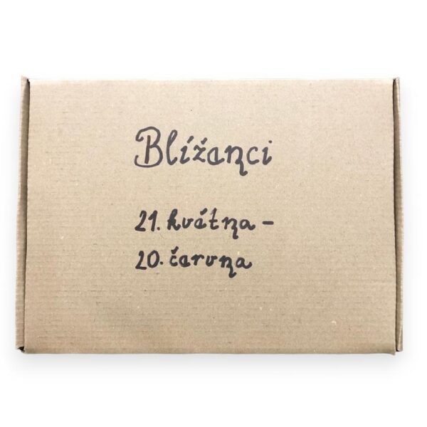 DÁRKOVÝ BALÍČEK PRO BLÍŽENCE (GEMINI)