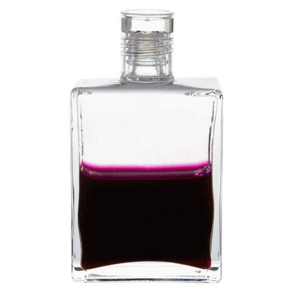 AURA-SOMA EQUILIBRIUM B 100