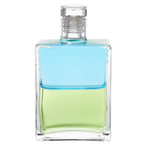 AURA-SOMA EQUILIBRIUM B 101