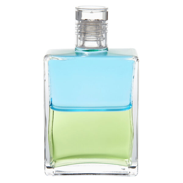 AURA-SOMA EQUILIBRIUM B 101