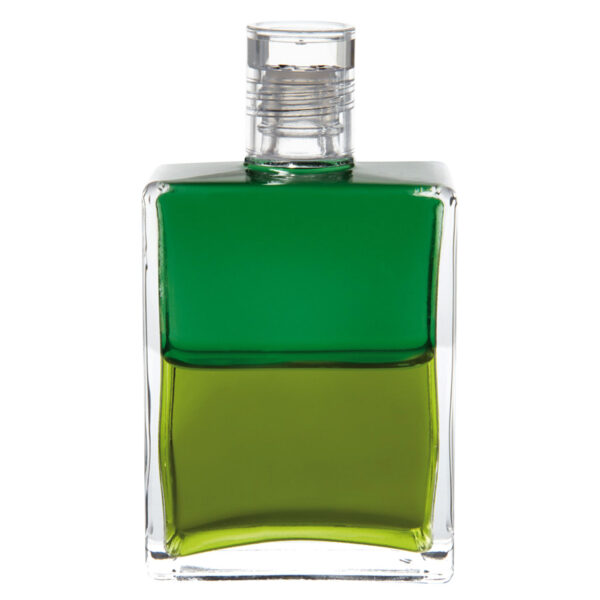 AURA-SOMA EQUILIBRIUM B 113