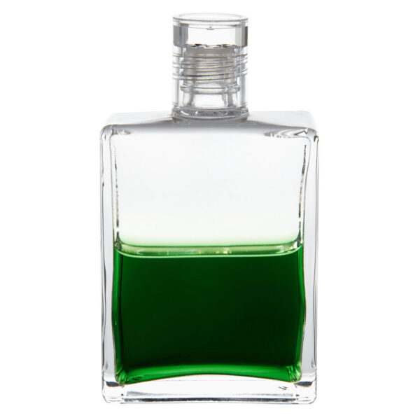 AURA-SOMA EQUILIBRIUM B 13