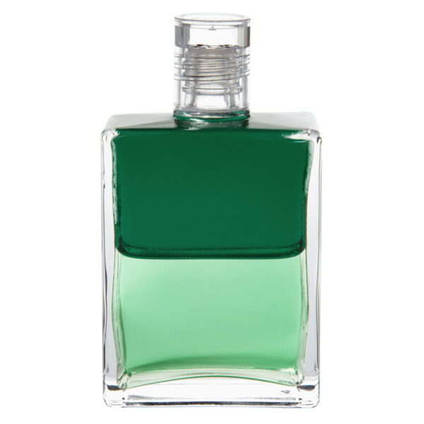 AURA-SOMA EQUILIBRIUM B 63