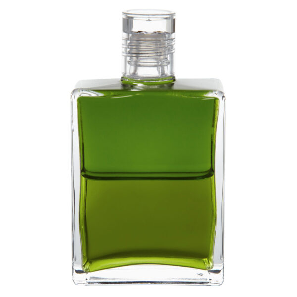 AURA-SOMA EQUILIBRIUM B 91