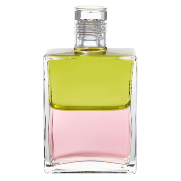 AURA-SOMA EQUILIBRIUM B 99