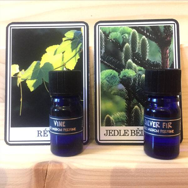 Parfémy TREE WISDOM