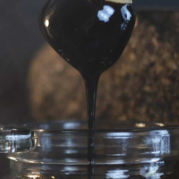 Byliny a pryskyřice